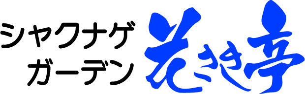 ホーム